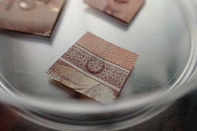 CSIRO Virus Live on Surfaces